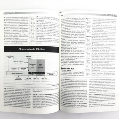 BIBLIA DE ESTUDIO DE LA PROFECÍA PASTA DURA RV60 - Image 4