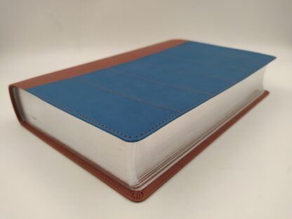BIBLIA ESTUDIO THOMPSON RV60 IMIT PIEL - Image 7