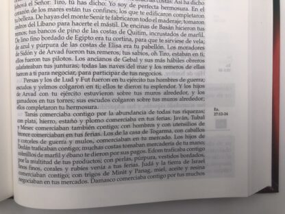 BIBLIA RV60 ORDEN CRONOLOGICO - Image 6