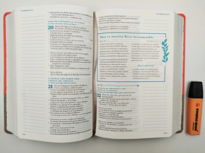 BIBLIA DEVOCIONAL MUJER VERDADERA RV60 - Image 6