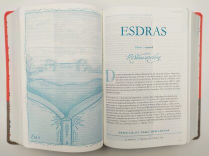 BIBLIA DEVOCIONAL MUJER VERDADERA RV60 - Image 5