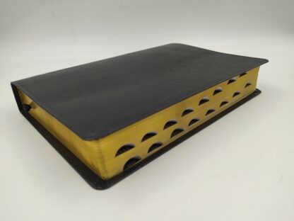 BIBLIA RV60 DE ESTUDIO PLENITUD - Image 10