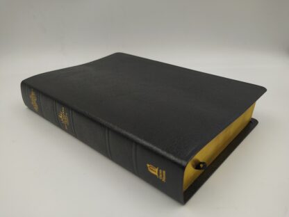 BIBLIA RV60 DE ESTUDIO PLENITUD - Image 9