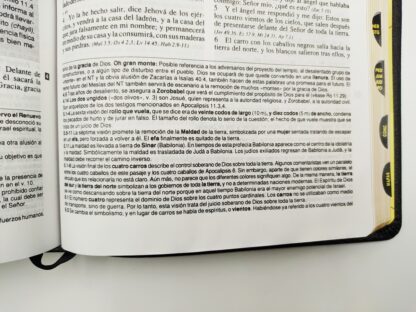 BIBLIA RV60 DE ESTUDIO PLENITUD - Image 7