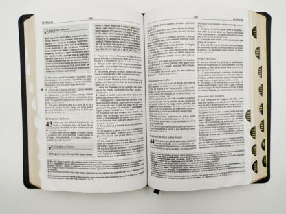BIBLIA RV60 DE ESTUDIO PLENITUD - Image 5