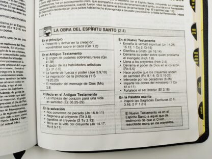 BIBLIA RV60 DE ESTUDIO PLENITUD - Image 4
