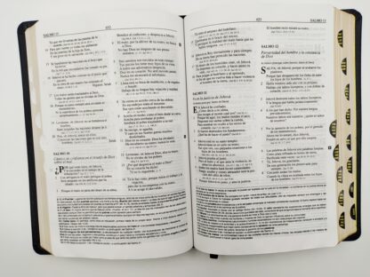 BIBLIA RV60 DE ESTUDIO PLENITUD - Image 3
