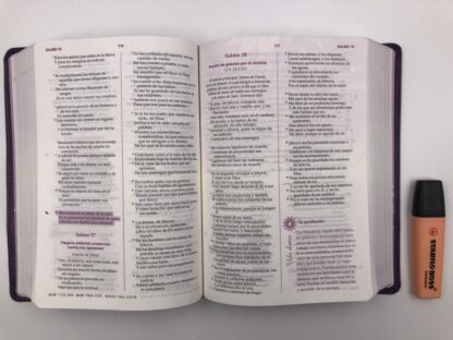 BIBLIA RV60 MUJER CONFORME AL CORAZON - Image 9