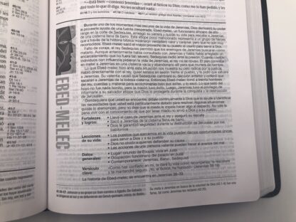 BIBLIA  NTV DE ESTUDIO DIARIO VIVIR - Image 5