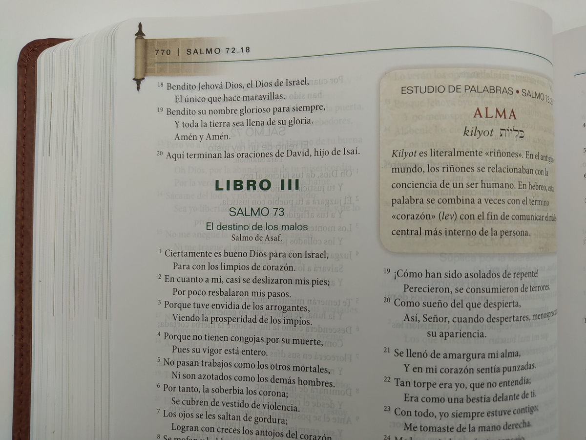 BIBLIA DE ESTUDIO TRAS LAS HUELLAS DEL MESIAS TD - Image 3