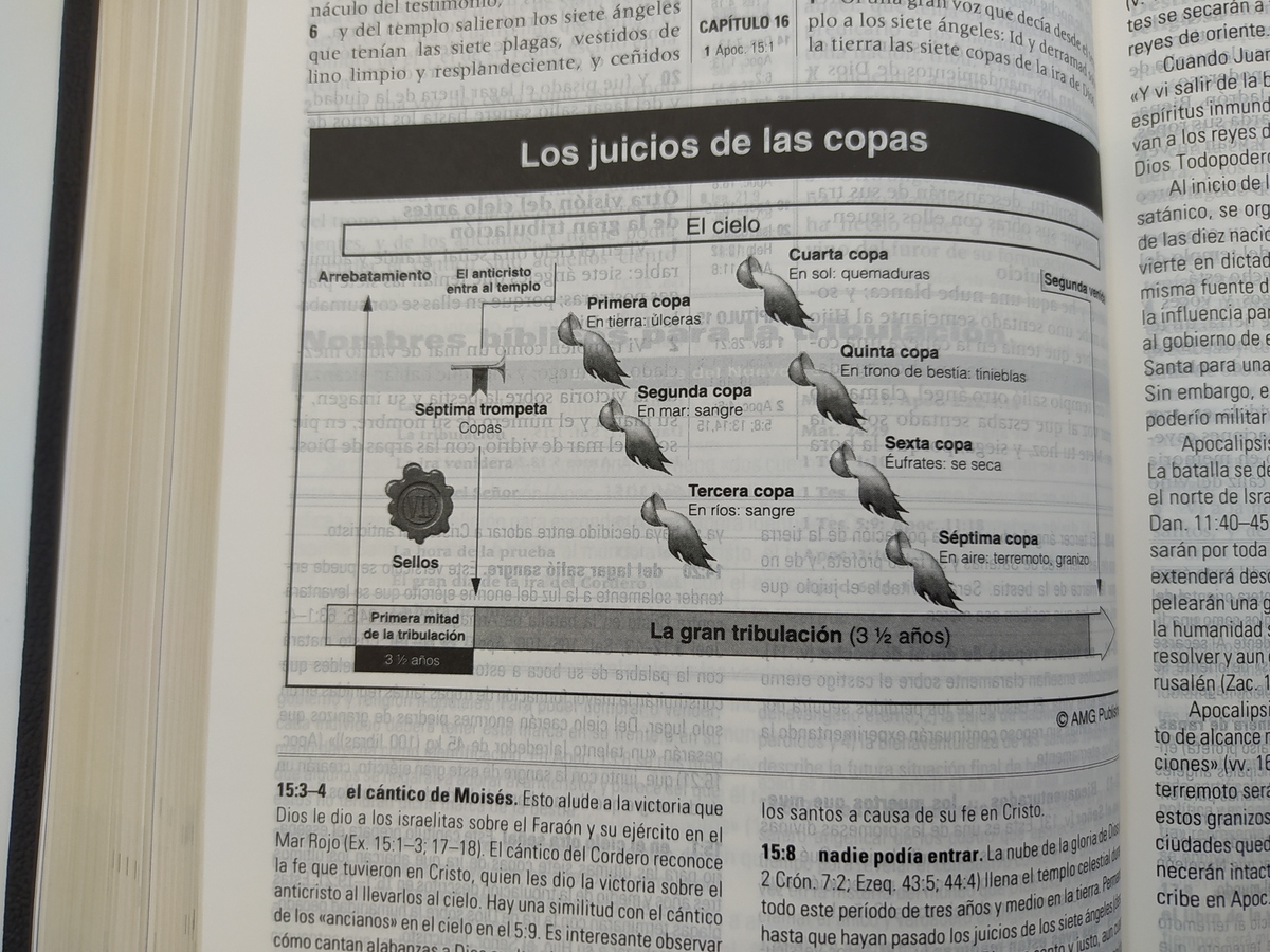 BIBLIA DE ESTUDIO DE LA PROFECÍA PIEL NEGRA RV60 - Image 6