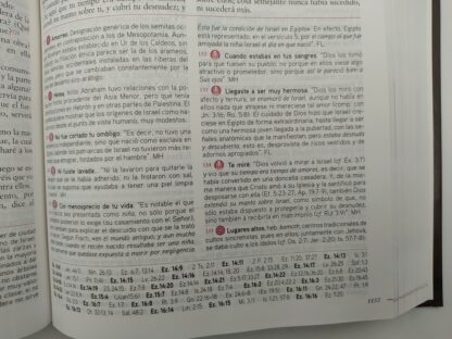 BIBLIA DE ESTUDIO MATHEY HENRY RV60 PASTA DURA - Image 5