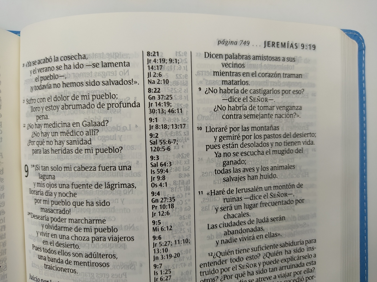 BIBLIA NTV ULTRAFINA- SIMIL PIEL CELESTE LG - Image 3