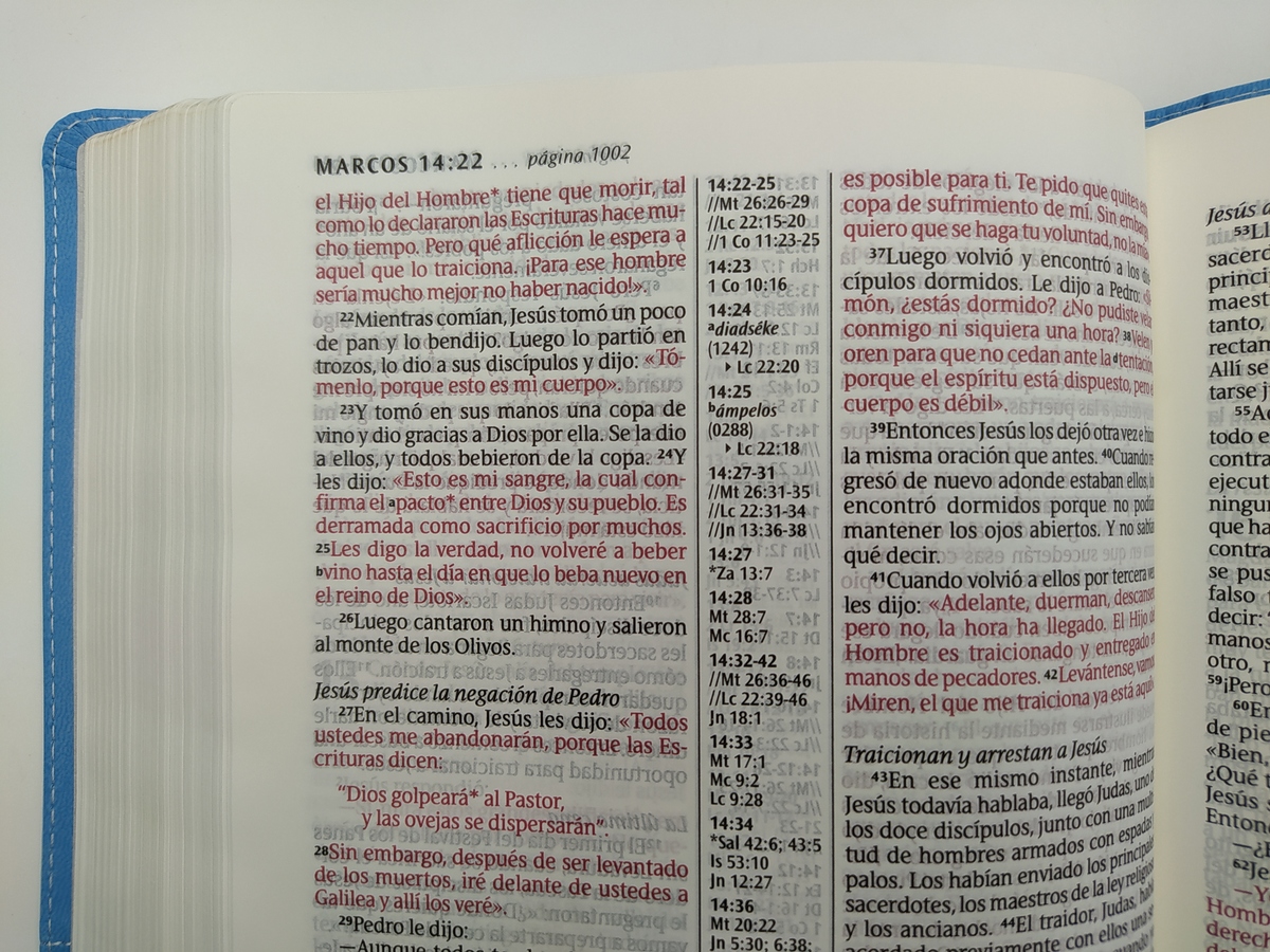 BIBLIA NTV ULTRAFINA- SIMIL PIEL CELESTE LG - Image 2