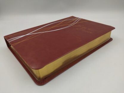 BIBLIA DE PROMESAS LETRA GRANDE RV60 - Image 5