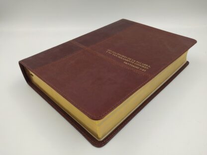 BIBLIA ESTUDIO DIARIO VIVIR RV60- PIEL - Image 9