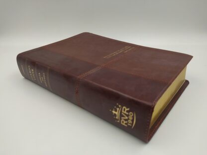 BIBLIA ESTUDIO DIARIO VIVIR RV60- PIEL - Image 10