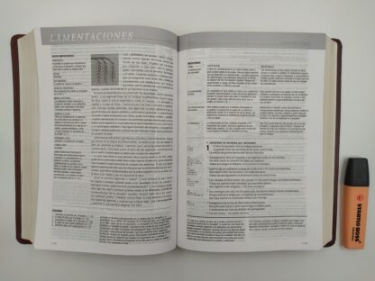 BIBLIA ESTUDIO DIARIO VIVIR RV60- PIEL - Image 8