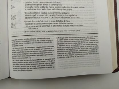 BIBLIA ESTUDIO DIARIO VIVIR RV60- PIEL - Image 7
