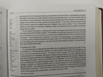 BIBLIA ESTUDIO DIARIO VIVIR RV60- PIEL - Image 6