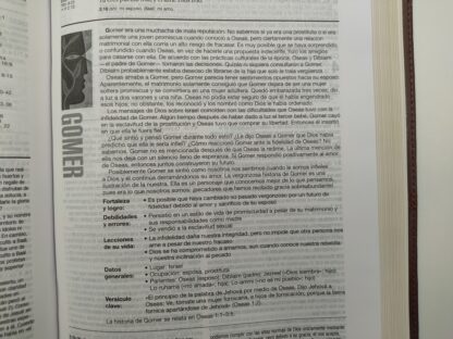 BIBLIA ESTUDIO DIARIO VIVIR RV60- PIEL - Image 5