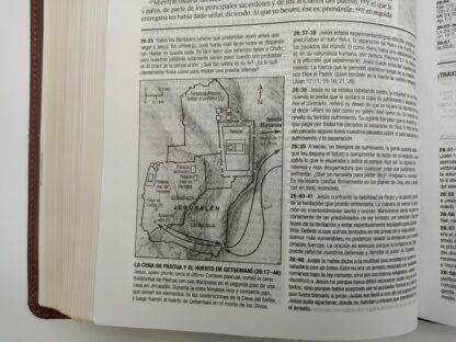 BIBLIA ESTUDIO DIARIO VIVIR RV60- PIEL - Image 4