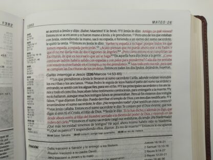 BIBLIA ESTUDIO DIARIO VIVIR RV60- PIEL - Image 3