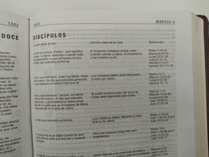 BIBLIA ESTUDIO DIARIO VIVIR RV60- PIEL - Image 2