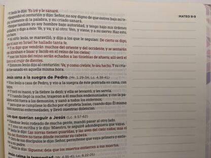 BIBLIA DE APUNTES TELA GRIS FLOREADA - Image 4