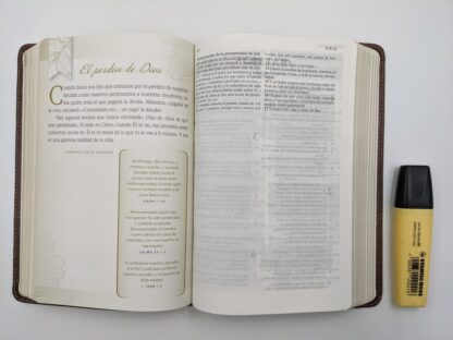 BIBLIA DE PROMESAS INSPIRA RV60 - Image 3