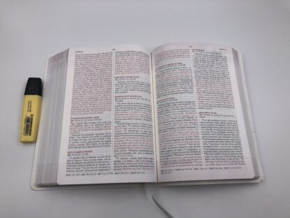 BIBLIA LENGUAJES DEL AMOR DEVOCIONAL - Image 2