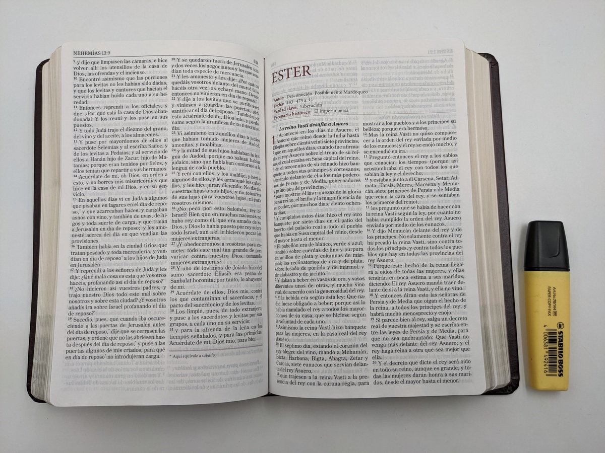 BIBLIA FORTALEZA DEVOCIONAL RV60 JHON MACARTHUR - Image 4