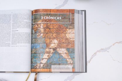 BIBLIA RV60 ILUSTRADA TIERRA SANTA - Image 3