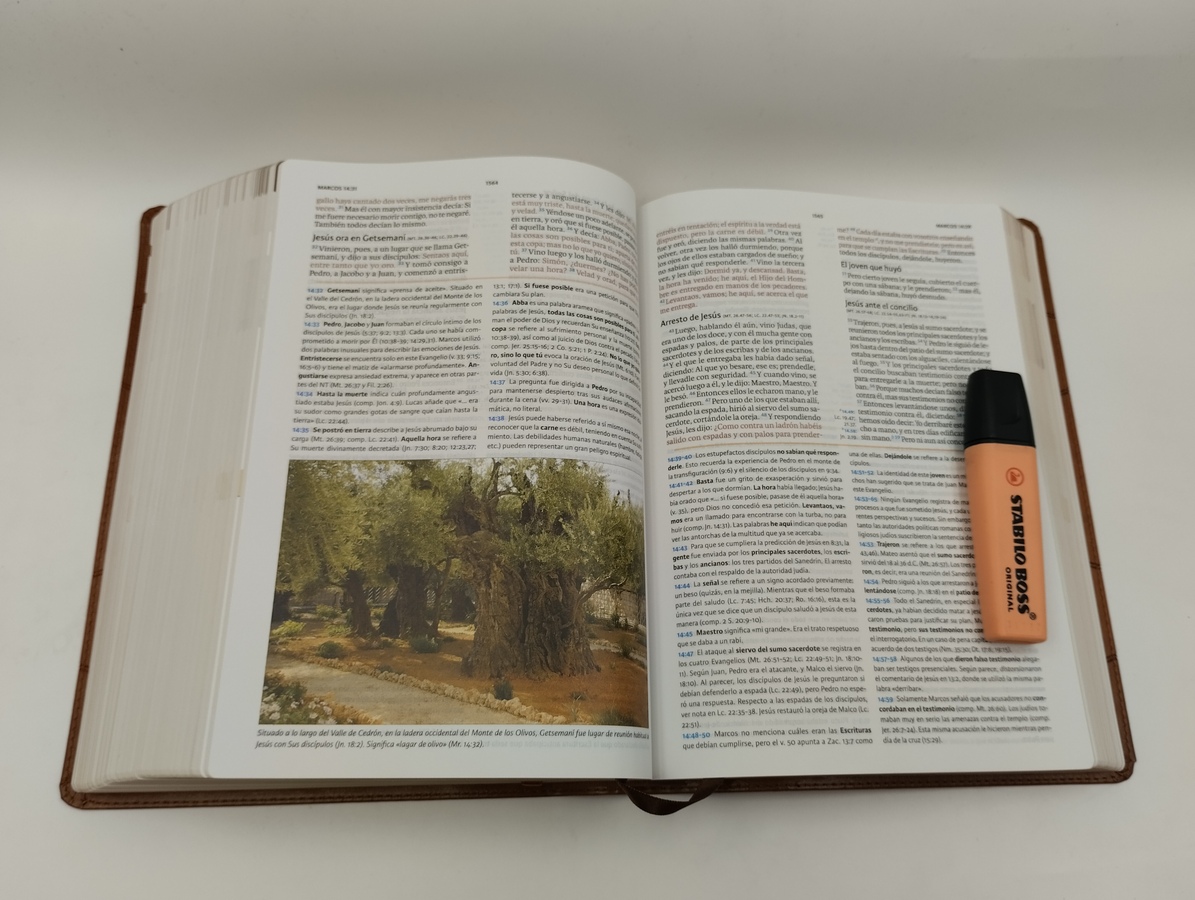BIBLIA RV1960 HOLMAN DE ESTUDIO MARRON - Image 2