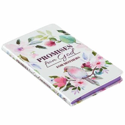 DEVOCIONAL PROMESAS DE DIOS PARA MUJERES - Image 2