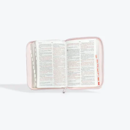 BIBLIA RV1960 LETRA GRANDE - Image 6