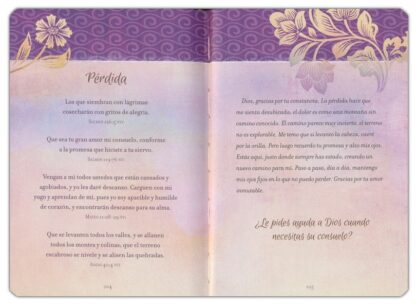 DEVOCIONAL ORACIONES Y PROMESAS PARA LA MUJER - Image 2