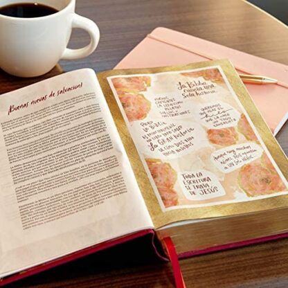BIBLIA  CENTRADA EN CRISTO DEVOCIONAL - Image 2
