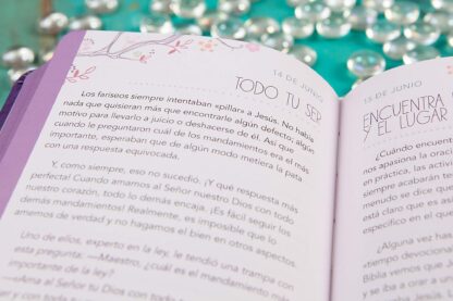 DEVOCIONAL MI TIEMPO CON DIOS PARA MUJRES - Image 3