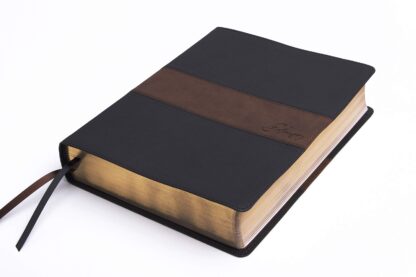 BIBLIA DE ESTUDIO ESPURGEON RV1960 - Image 7