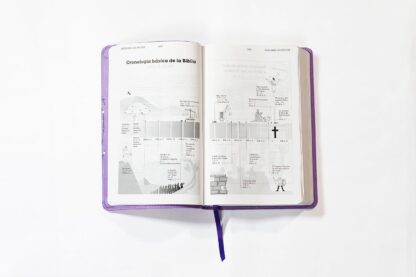 BIBLIA NVI PARA NIÑAS ESTRELLAS LILA - Image 3