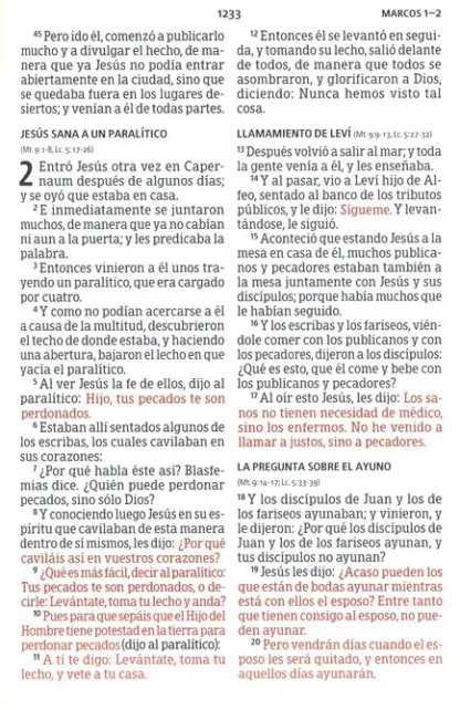 BIBLIA LETRA GRANDE RV60- Tamaño manual - Image 3