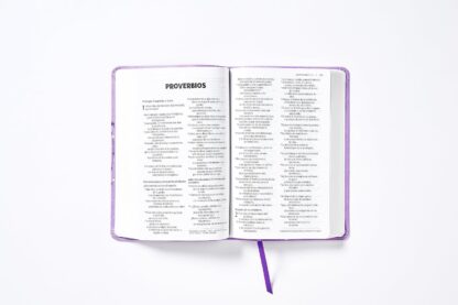 BIBLIA NVI PARA NIÑAS ESTRELLAS LILA - Image 4
