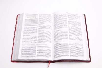 BIBLIA DE ESTUDIO PARA MUJERES RV1960 - Image 2