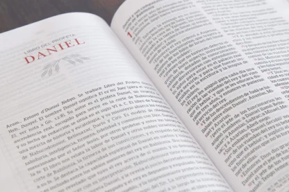 BIBLIA PESHITTA EN ESPAÑOL RV60 T. DURA - Image 6