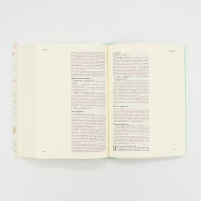 BIBLIA NVI ILUSTRA TU FE  FLORAL MENTA - Image 3