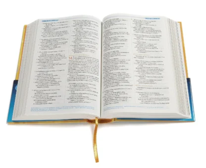 BIBLIA INTERACTIVA VERSION NTV - Image 4