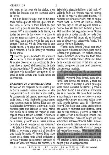 BIBLIA DE PROMESAS RV60 TAMAÑO MANUAL - Image 6