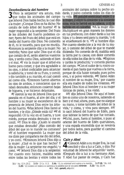 BIBLIA DE PROMESAS RV60 TAMAÑO MANUAL - Image 5