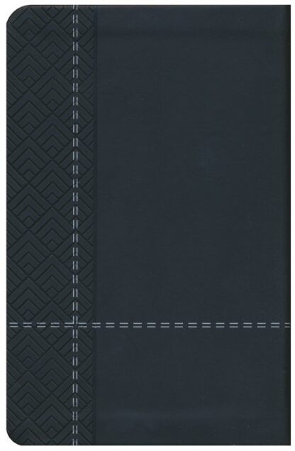 BIBLIA DE PROMESAS RV60 TAMAÑO MANUAL - Image 3